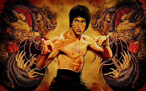 Bruce Lee-Çin Kung Fu HD Masaüstü Duvar Kağıdı 16, Bruce Lee illüstrasyon, HD masaüstü duvar kağıdı HD wallpaper
