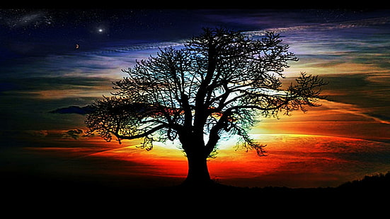 Ancora una volta, silhouette pittura di albero, adorabile, colorato, sorprendente, albero, bellezza, 3d e astratto, Sfondo HD HD wallpaper