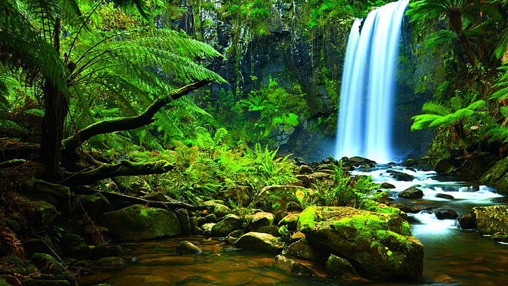 waterfall, amazon, nature, water, body of water, rainforest, watercourse, forest, stream, jungle, HD wallpaper
