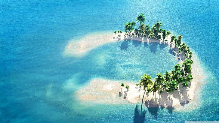 зелени кокосови дървета, остров, вода, палми, HD тапет