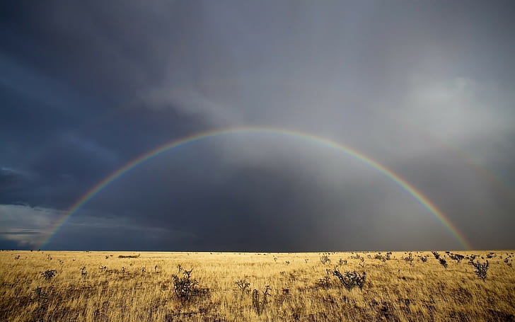 Rainbow, Field, After a rain, Sky, Clouds, Steppe, HD wallpaper
