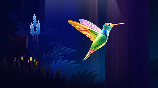 colibri (uccello), colorato, legno, buio, natura, Sfondo HD HD wallpaper