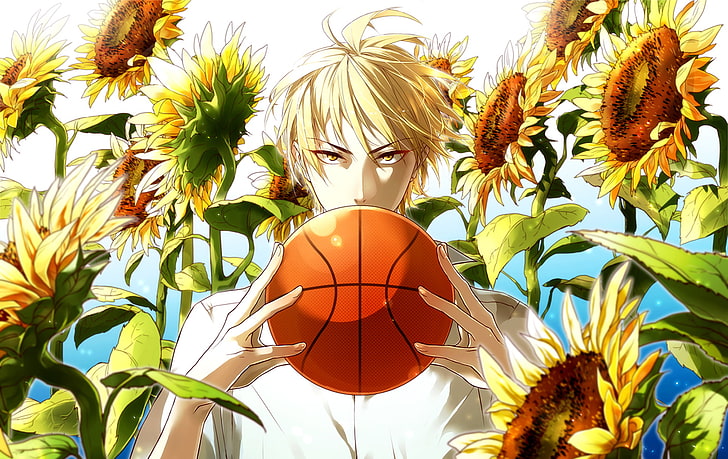 regard, tournesol, le ballon, mec, Kuroko De Basket, basket de Kuroko, Ryouta, éruption solaire, Kise, Kaijou, Fond d'écran HD
