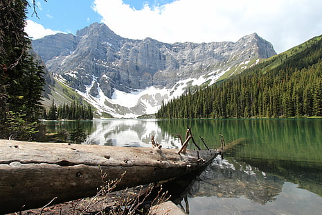 zielone jezioro otoczone zielenią pod białymi chmurami i błękitnym niebem, rawson, kanada, rawson, kanada, kraj Kananaskis, Alberta, Kanada, zielone jezioro, drzewa, białe chmury, kraj Kananaskis, natura, jezioro, góra, woda, krajobraz, na zewnątrz , scenics, las, odbicie, park narodowy banff, lato, drzewo, pasmo górskie, piękno przyrody, kanadyjskie góry, podróż, morenowe jezioro, rzeka, góry skaliste, niebo, skała - Obiekt, Tapety HD HD wallpaper