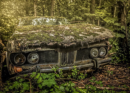 car, wreck, plants, vehicle, moss, BMW, HD wallpaper HD wallpaper