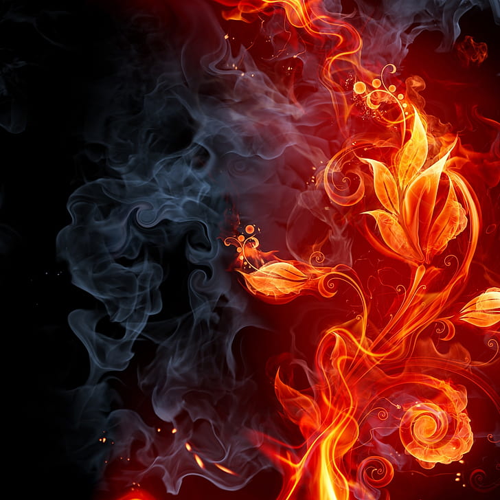 Flor de fuego, fuego, arte, diseño, fondo, alta resolución, Fondo de pantalla HD