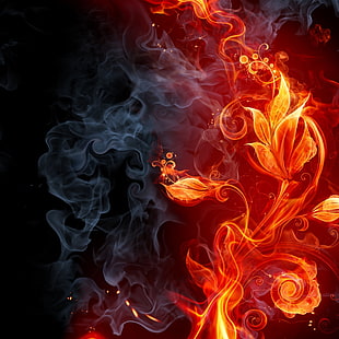 Огненный цветок, огонь, арт, дизайн, фон, привет разрешение, HD обои HD wallpaper