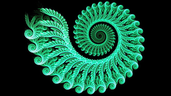 verde, arte fractal, simetría, nautilida, sprial, espiral, arte digital, fibonacci, nautilus, Fondo de pantalla HD HD wallpaper