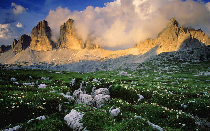 Dolomites, Italy, garden of yellow flowers, nature, 1920x1200, mountain, italy, europe, dolomite, HD wallpaper