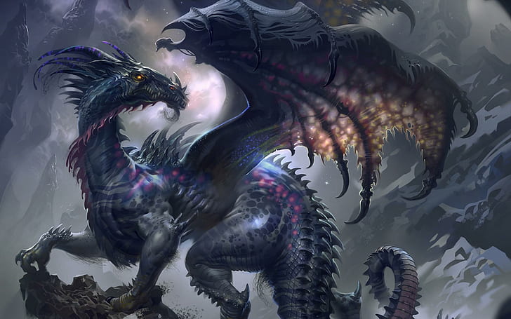 Dragon mystique, dragon, ailes, titre, mystique, 3d et abstrait, Fond d'écran HD