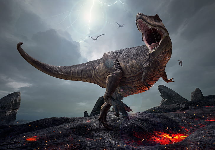 Tier, Dinosaurier, Tyrannosaurus Rex, HD-Hintergrundbild