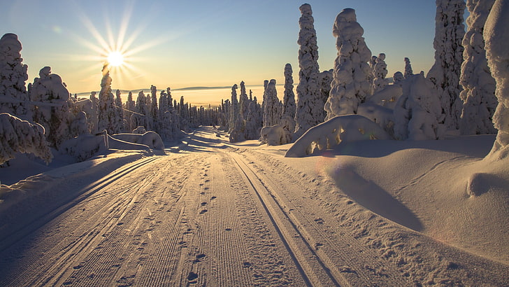 пейзаж, европа, финляндия, зимняя страна чудес, лапландия, лед, дорога, гора, горизонт, снег, мороз, солнечный свет, дерево, утро, снежный, небо, зима, HD обои