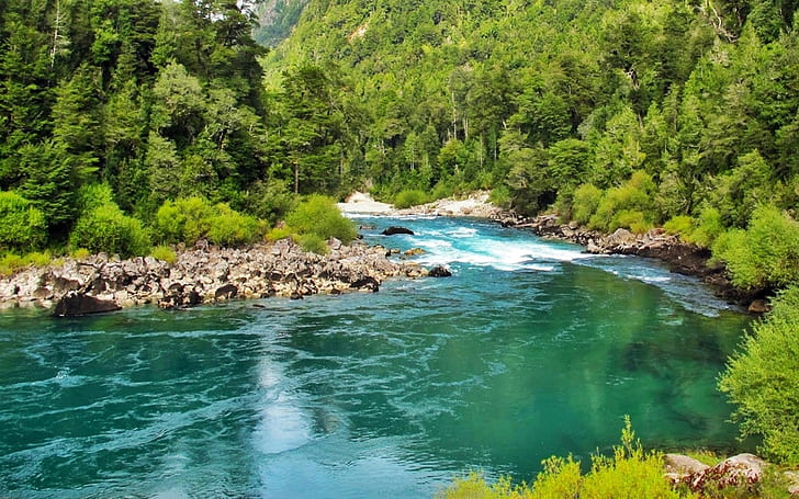 Turquoise Color River Trees Water Forest Ultra 3840 × 2160 Hd Wallpaper 185379, Fond d'écran HD