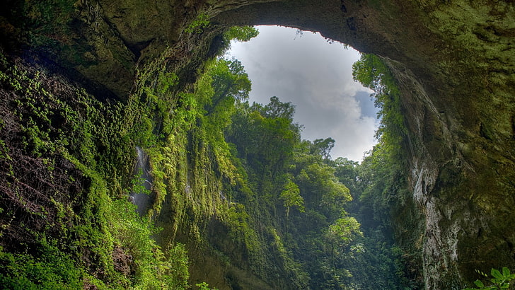 cave, landscape, nature, cave, trees, HD wallpaper