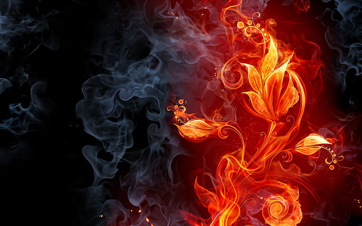 abstract, art, CG, color, digital, fire, flames, flowers, smoke, HD wallpaper