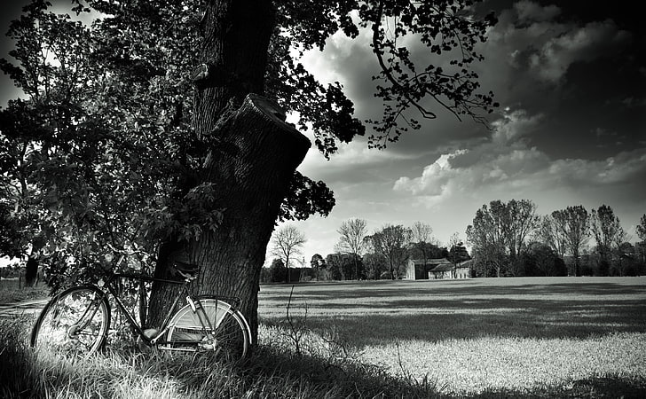 Bike, black road bike, Black and White, Nature, Landscape, Trees, Field, Bicycle, Photography, bike, Monochrome, bw, HD wallpaper