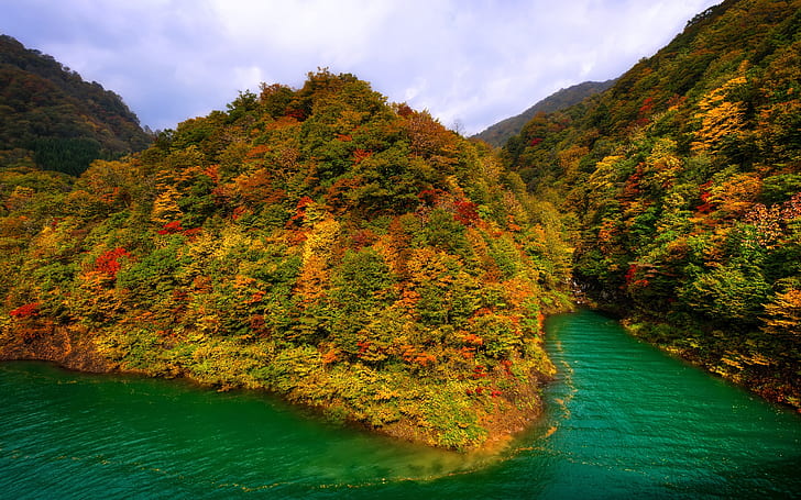 Göl, tazawa, japonya, dağlar, orman, sonbahar, göl, tazawa, japonya, dağlar, orman, sonbahar, HD masaüstü duvar kağıdı