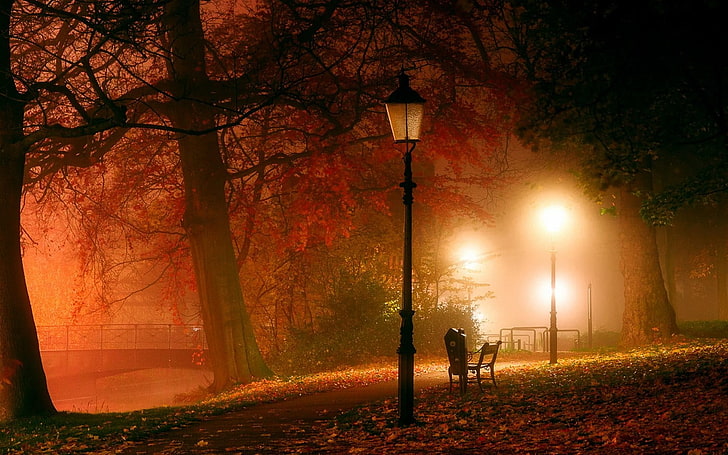 black steel lamp post near withered tree, photo of bench near post in park, nature, landscape, park, lantern, trees, night, mist, bench, bridge, leaves, fall, lights, path, atmosphere, HD wallpaper