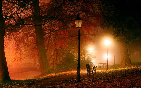 black steel lamp post near withered tree, photo of bench near post in park, nature, landscape, park, lantern, trees, night, mist, bench, bridge, leaves, fall, lights, path, atmosphere, HD wallpaper HD wallpaper