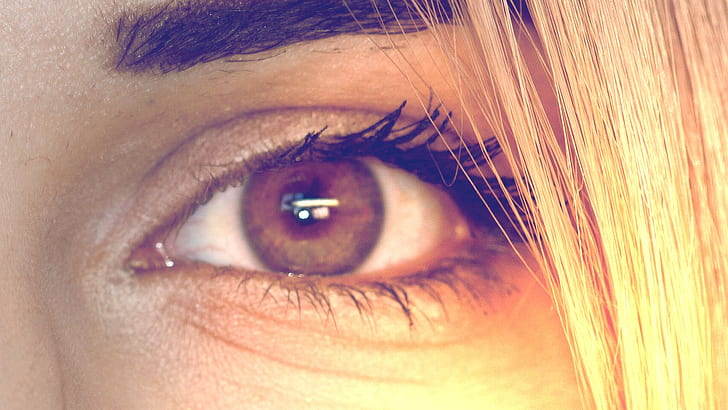 eyes, brown eyes, women, macro, HD wallpaper