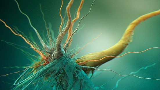 นามธรรมเซลล์ประสาท, วอลล์เปเปอร์ HD HD wallpaper