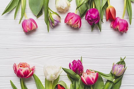 Flores, primavera, tulipanes, fondo, Fondo de pantalla HD HD wallpaper
