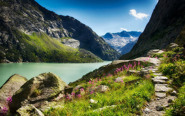 De soliga bergen i Kaukasus-sjön Stone Path Gorge Flowers Wallpaper för datorplatta och mobil 3840 × 2400, HD tapet