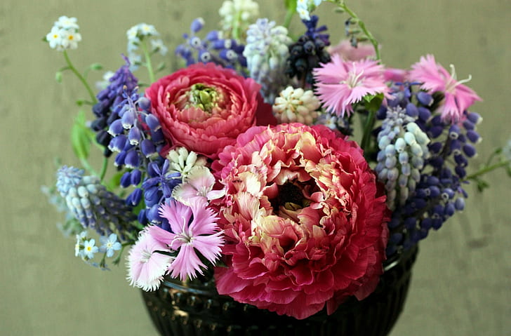 Pink, Ranunkulyus, Lupa-aku, Muscari, Bouquet, Wallpaper HD