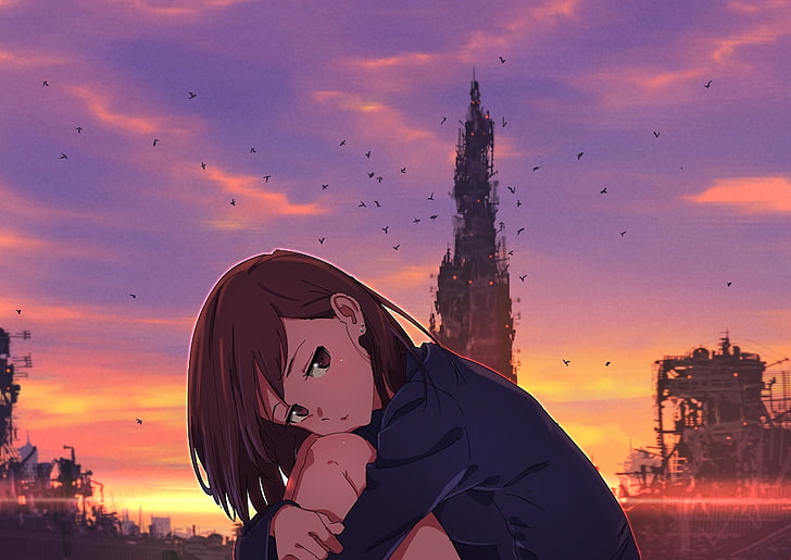 girl wearing blue shirt anime character illustration, anime, anime girls, original characters, brunette, sitting, looking at viewer, sky, clouds, birds, sunset, HD wallpaper