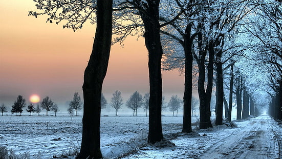Теплая зима, пейзаж, дорога, снег, зима, закат, 3d и аннотация, HD обои HD wallpaper
