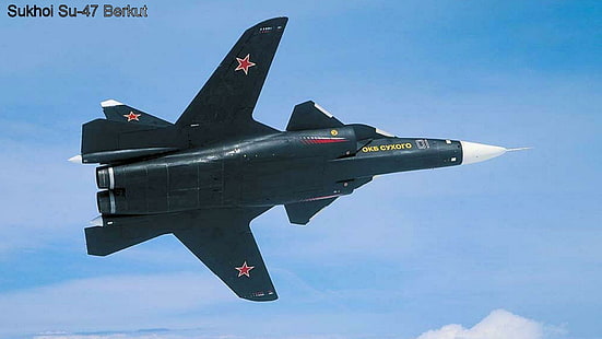 Suchoi Su-47 Berkut, Suchoi, Su-47, Flugzeug, Berkut, Flugzeuge, HD-Hintergrundbild HD wallpaper