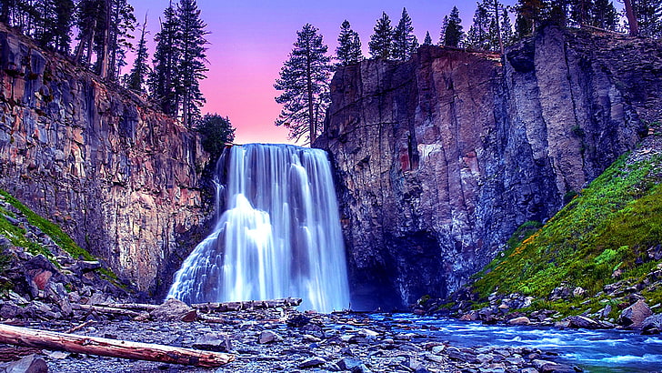 cascada, bosque, pinos, asombroso, impresionante, Fondo de pantalla HD
