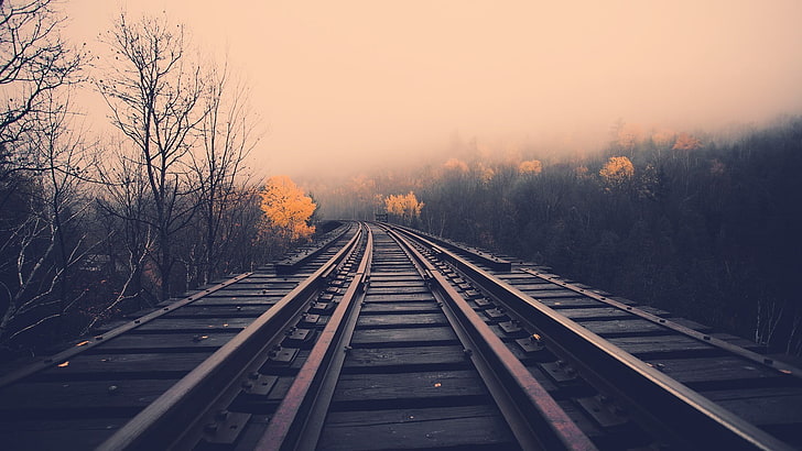 kahverengi ve kırmızı tren rayları, demiryolu, manzara, alacakaranlık, ağaçlar, düşmek, bej, sis, HD masaüstü duvar kağıdı