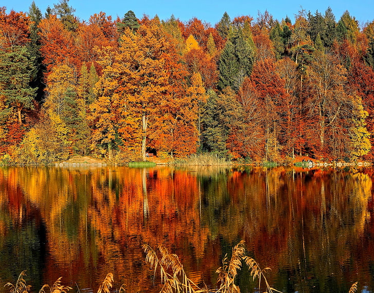body of water, trees, autumn, river, reflection, HD wallpaper