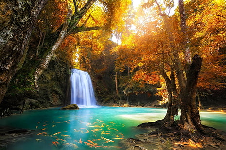 滝、エラワンの滝、秋、魚、紅葉、フォレスト、自然、池、タイ、ツリー、熱帯、ターコイズ、滝、 HDデスクトップの壁紙 HD wallpaper