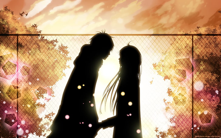 male and female anime characters, kimi ni todoke, girl, boy, love, feelings, meet, date, fall, leaves, HD wallpaper