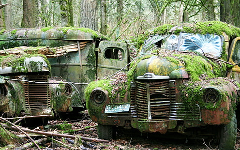 Deserted Abandon Overgrowth Rust Urban Decay HD, samochody, porzucenie, opuszczony, miejski, rozkład, przerost, rdza, Tapety HD HD wallpaper