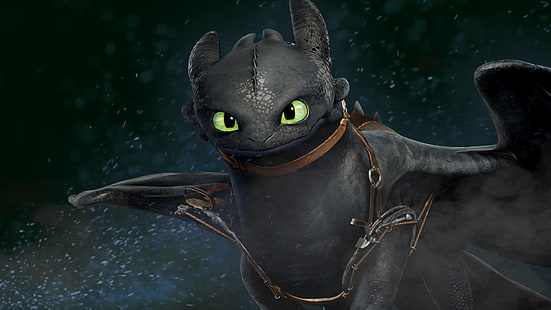 Movie, How to Train Your Dragon 2, Toothless (How to Train Your Dragon), HD wallpaper HD wallpaper