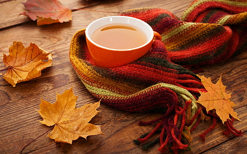 Autumn Leaves Tea Cup Scarf, taza de café de cerámica roja, naturaleza, comida, hojas, otoño, taza, té, bufanda, Fondo de pantalla HD HD wallpaper