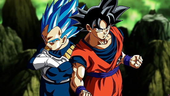 Goku و Vegeta من Dragonballs و Son Goku و Vegeta و Dragon Ball Super و Super Saiyan Blue و Ultra instict و Dragon Ball، خلفية HD HD wallpaper