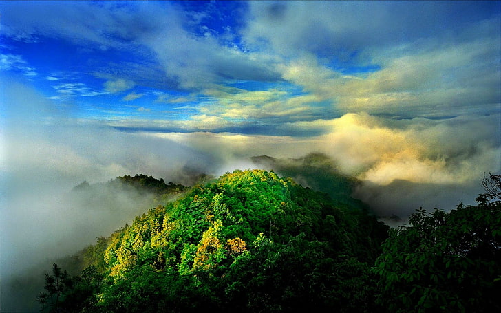 бяла и синя абстрактна живопис, природа, пейзаж, мъгла, планини, гора, облаци, HD тапет