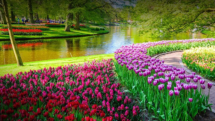 nature, landscape, river, plants, trees, flowers, walkway, purple flowers, red flowers, garden, HD wallpaper