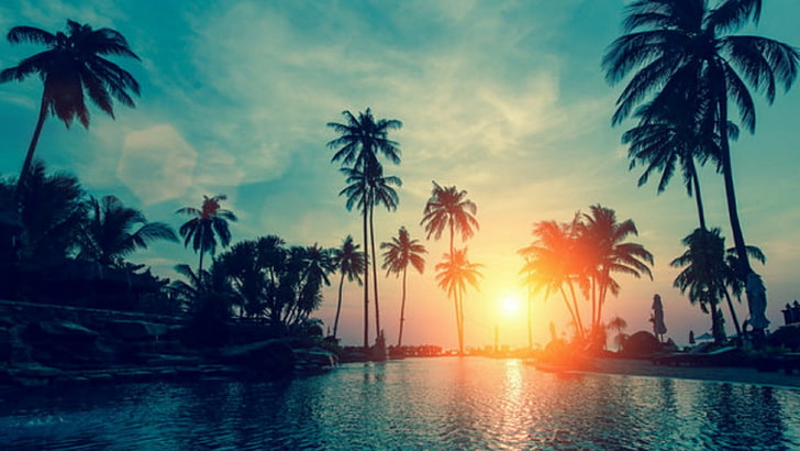 naturaleza, cielo, palmera, puesta de sol, mar, árbol, tarde, luz solar, Fondo de pantalla HD