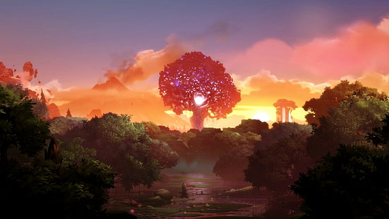 Landschaft, Ori, Ori und der blinde Wald, HD-Hintergrundbild HD wallpaper