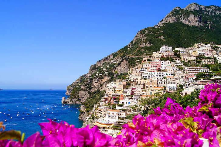 розови цветя, цветя, природа, град, скали, крайбрежие, дом, Италия, Амалфи, HD тапет