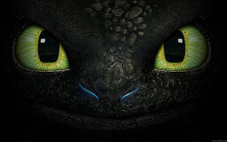 How to train your dragon Toothless, how to train your dragon print, dragon, movie, cartoon, toothless, HD wallpaper