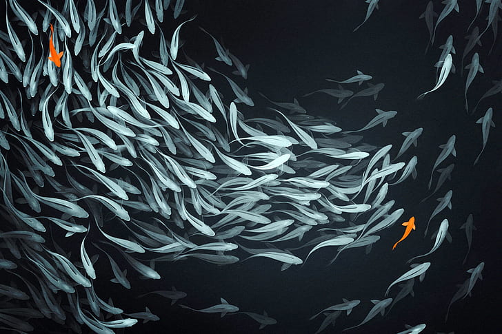 fish, sea, orange, dark, digital art, artwork, school of fish, HD wallpaper