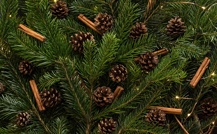 Traditional Christmas Tree Ornaments, Holidays, Christmas, Green, Tree, Holiday, Season, Ornaments, Natural, decorations, Cinnamon, pinecones, HD wallpaper