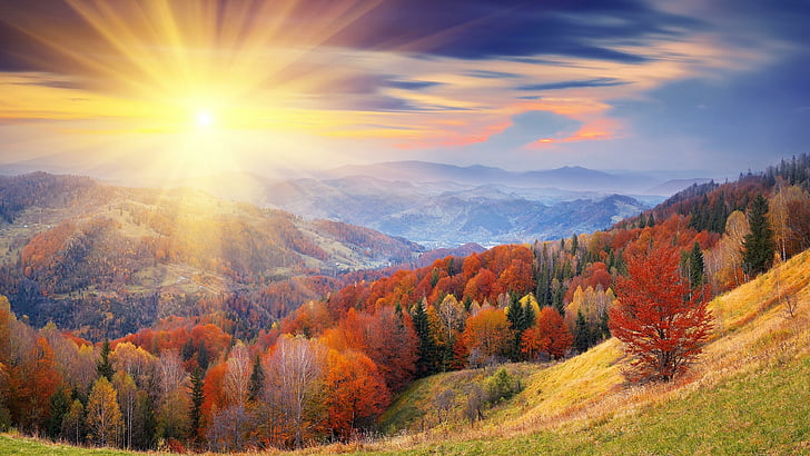 солнечный луч, лучи, солнечный луч, осень, склон холма, лес, цвета осени, солнечный луч, солнечный свет, гора, восход солнца, небо, HD обои