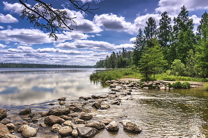 green trees near body of water, green, trees, body of water, clouds, sky, reflection, mississippi river, river  source, river source, minnesota, nature, branches, beginning, beginnings, start, old man river, summer day, weather, hdr, topaz, water, forest, landscape, tree, outdoors, lake, summer, scenics, river, rock - Object, beauty In Nature, blue, HD wallpaper